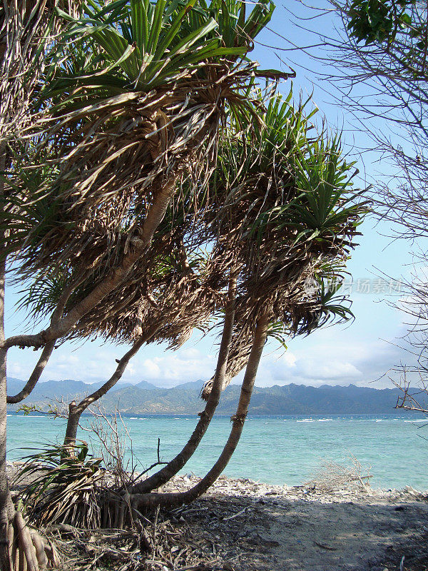 Gili Trawangan，印度尼西亚